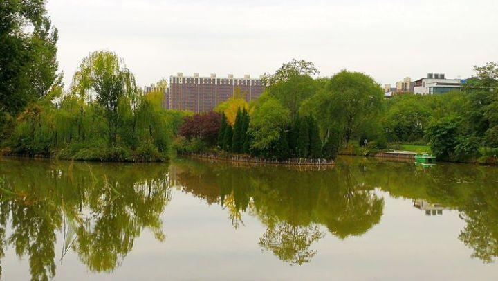 大学生应该降低就业期望吗?-专业问答交流平台